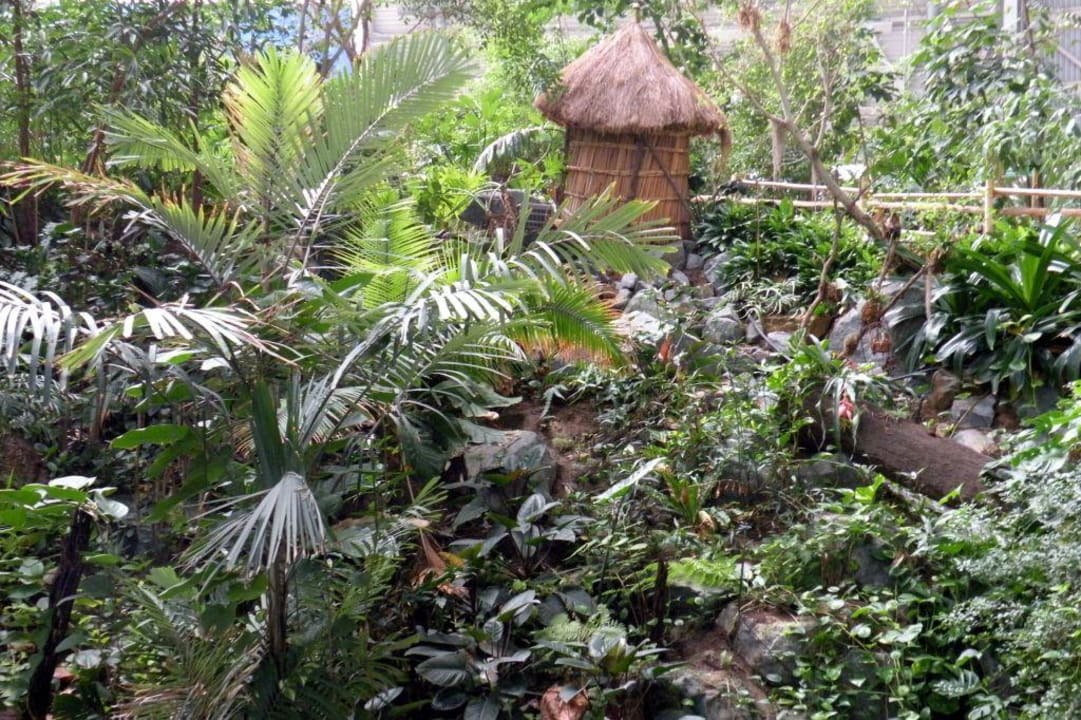 Im Tropenwald Tropical Islands Resort