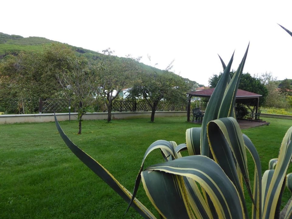 Schön gepflegter Garten Hotel Tamerici