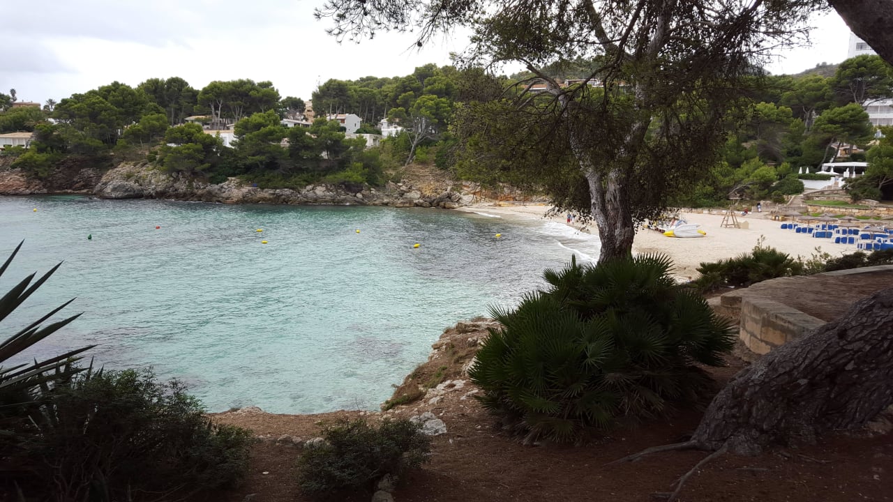 Blick vom Hotel Iberostar Waves Pinos Park