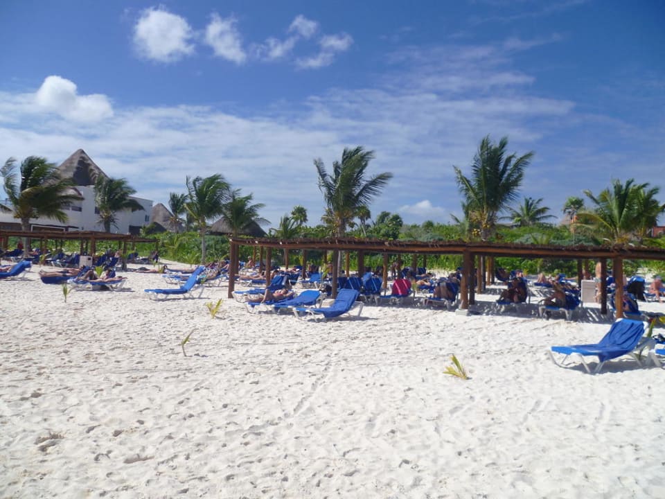 Es gab immer eine freie Liege auch im Schatten Catalonia Playa Maroma