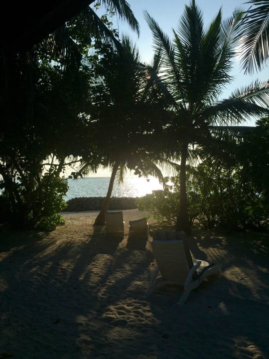 Widok z pokoju Summer Island Maldives