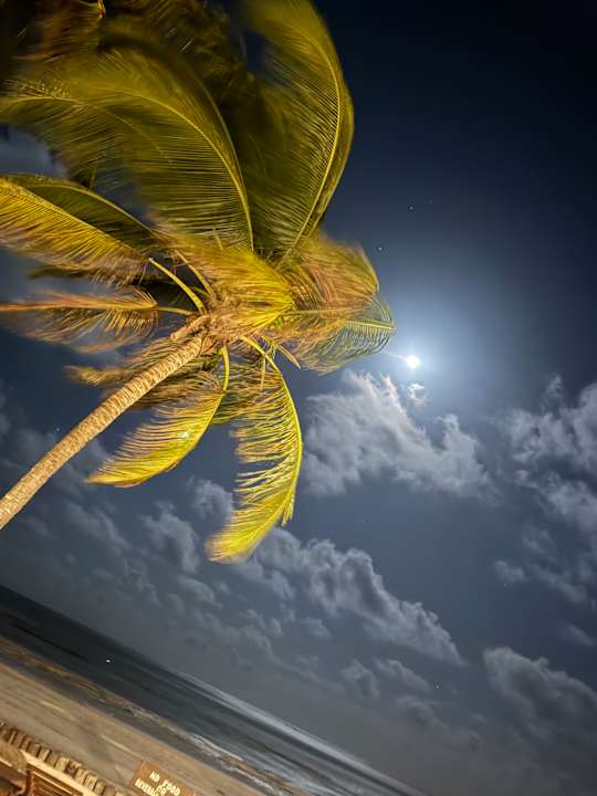 Zimmer Sultan Sands Island Resort & Spa