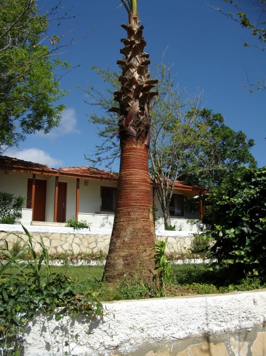 Sehr interesante schnit Adora Calma Beach Hotel