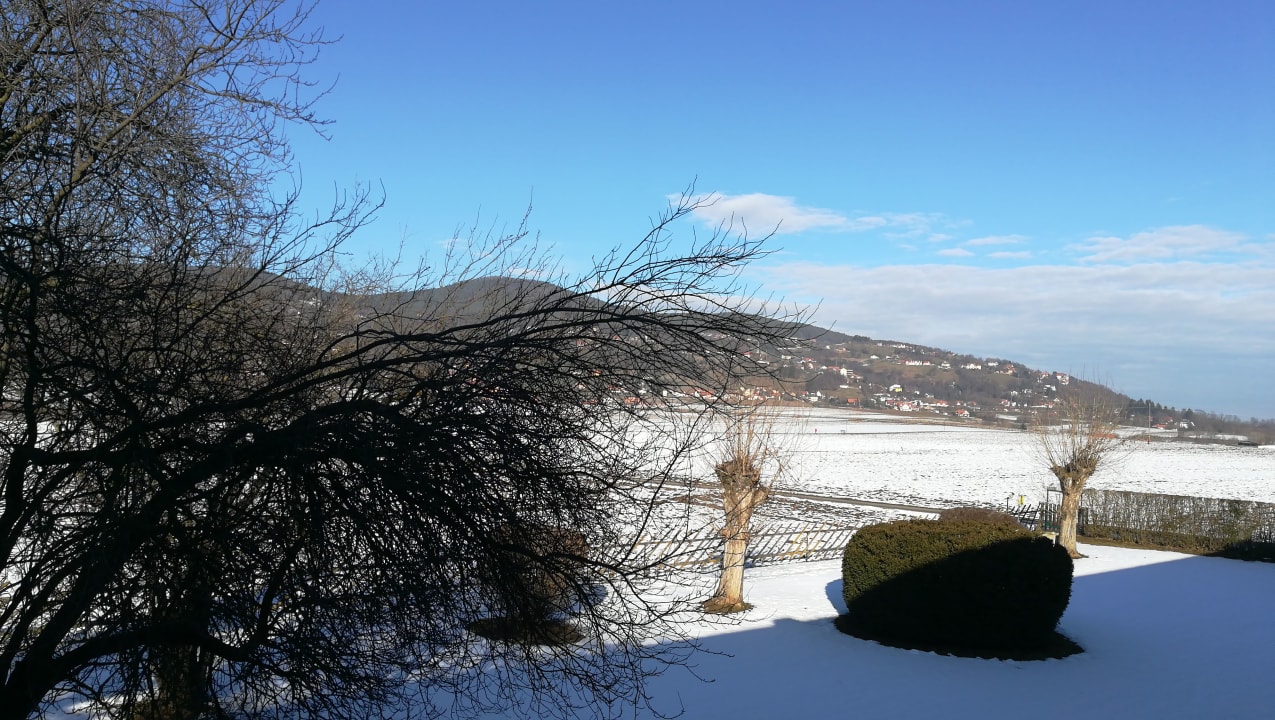 Ausblick Wilfinger Ring Bio Hotel