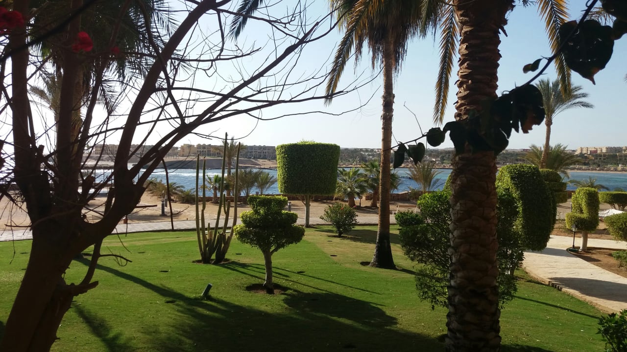 Gartenanlage Steigenberger Coraya Beach - Adults only