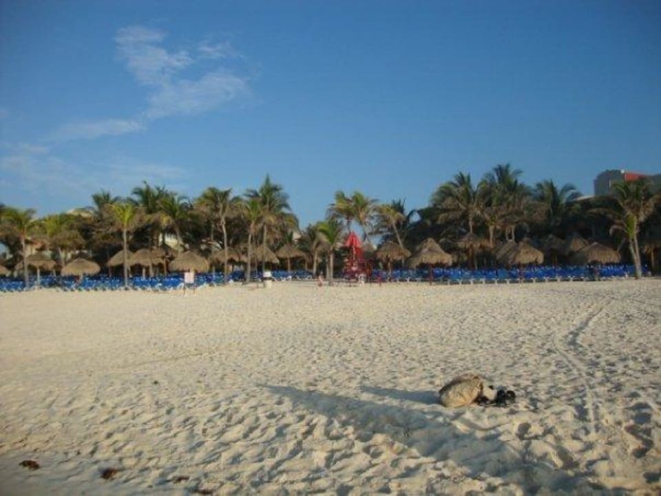 Hotelstrand vom Meer aus gesehen Viva Azteca by Wyndham - All Inclusive Resort