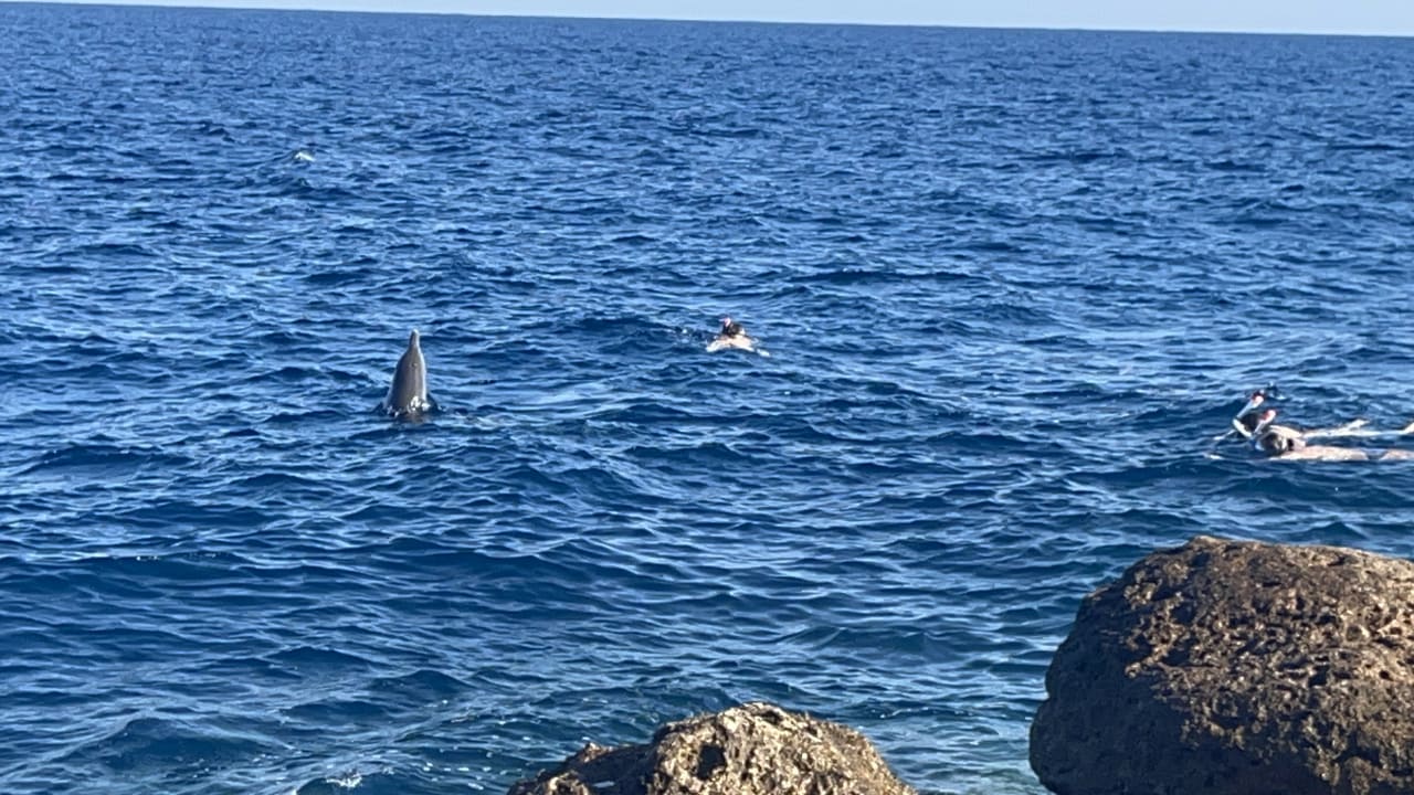 Ausblick Pickalbatros Citadel Resort