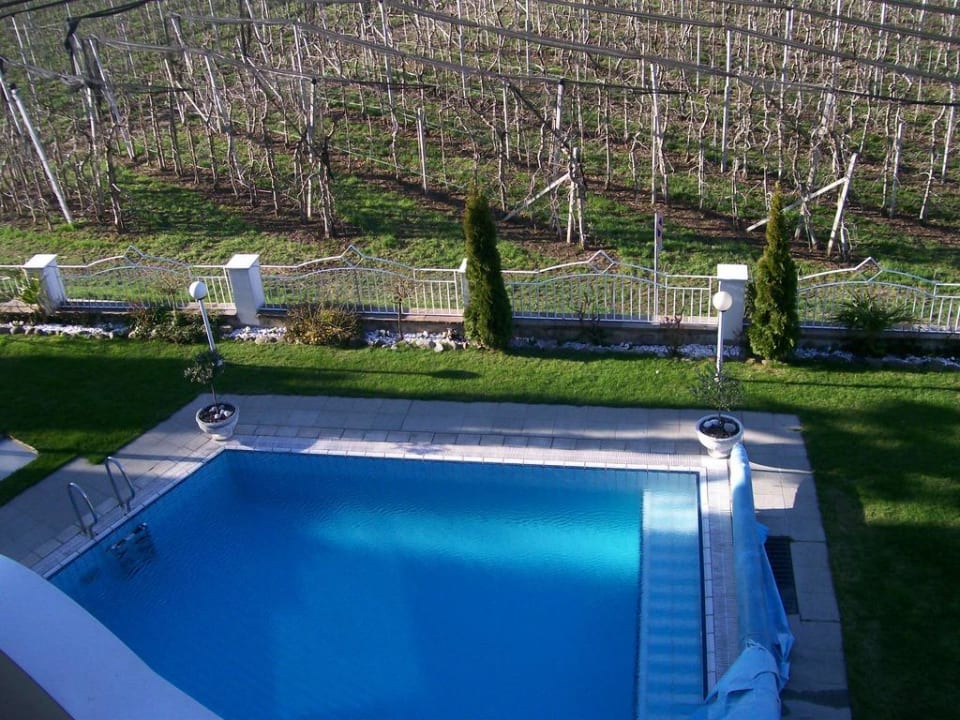 Pool mit Apfelbäumen im Hintergrund Small & Beautiful Hotel Gnaid