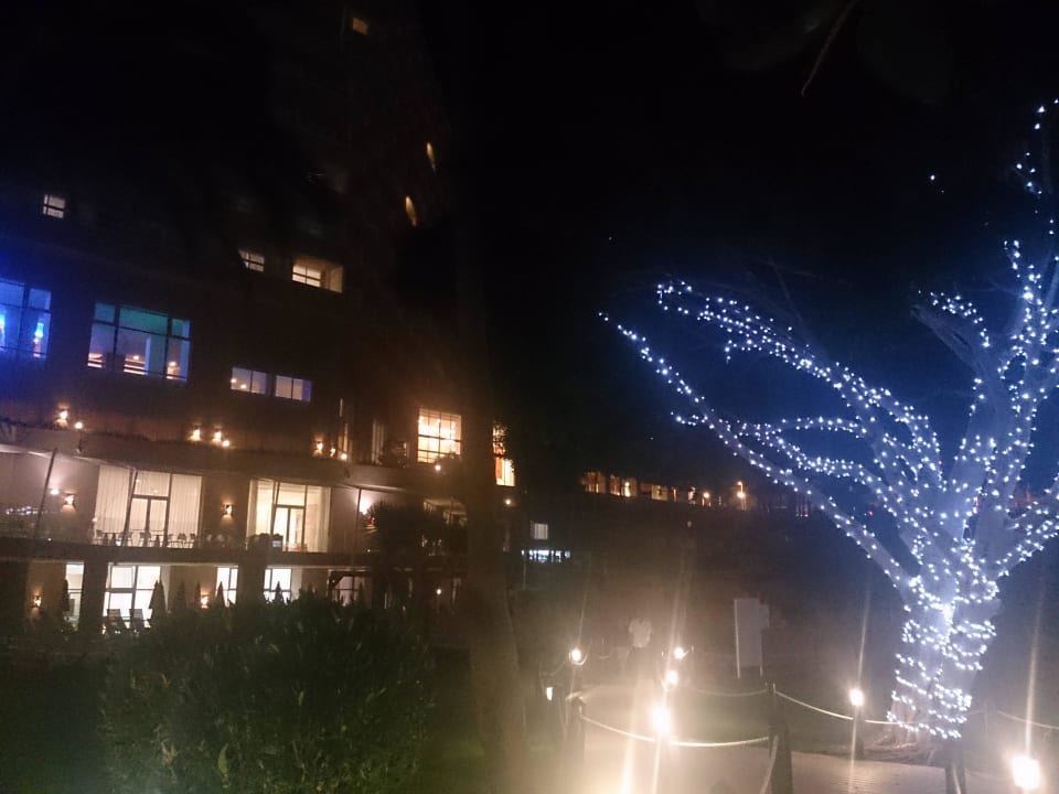 Garten und Bar nachts blau beleuchtet Iberostar Waves Bouganville Playa