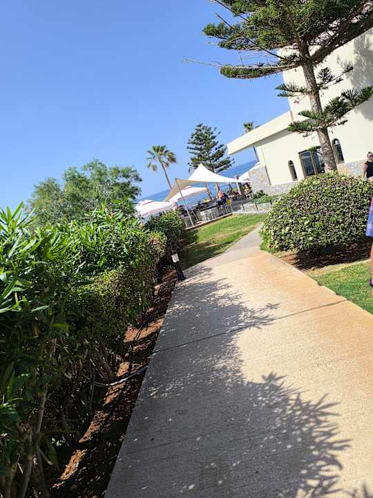 Gartenanlage allsun Hotel Malia Beach