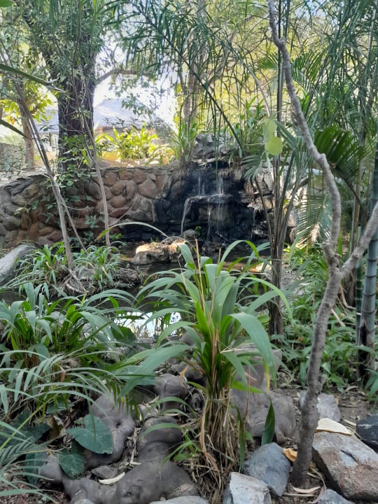 Gartenanlage Thamalakane River Lodge