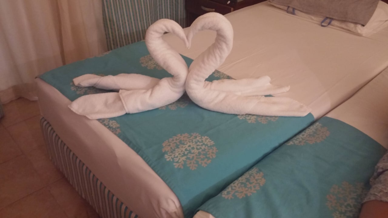 Love is in the air Amphoras Blu