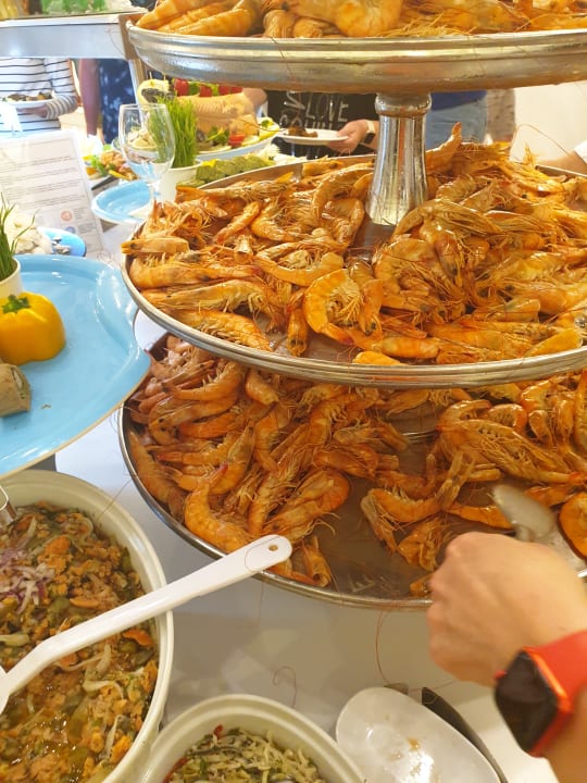 Gastro Adalya Elite Lara