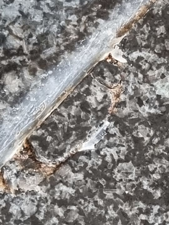 Zimmer Apartamentos Casablanca