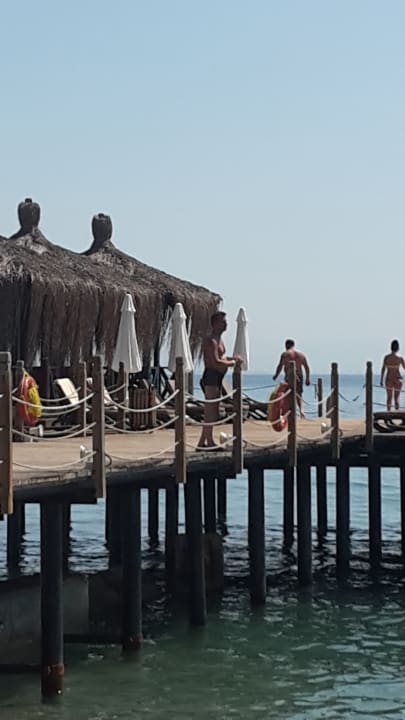 Strand Crystal Flora Pearl Collection