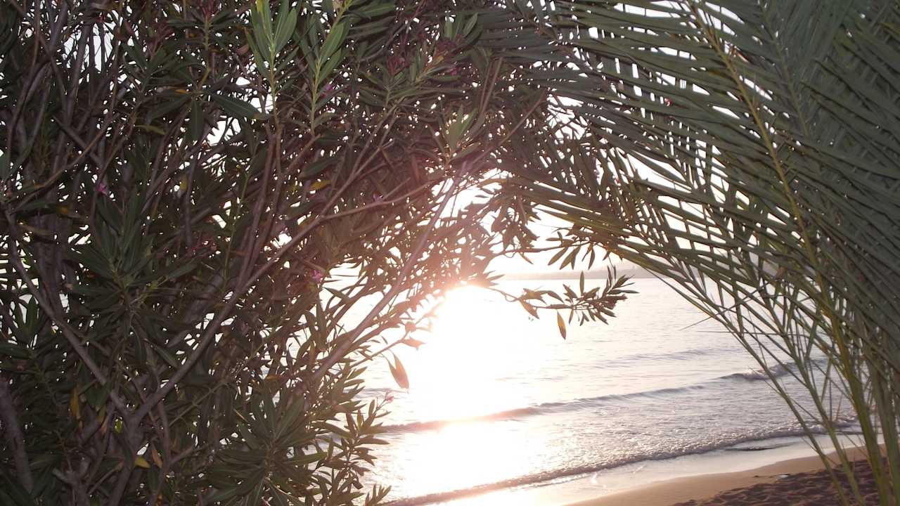 Strand vom Garten aus Top Hotel