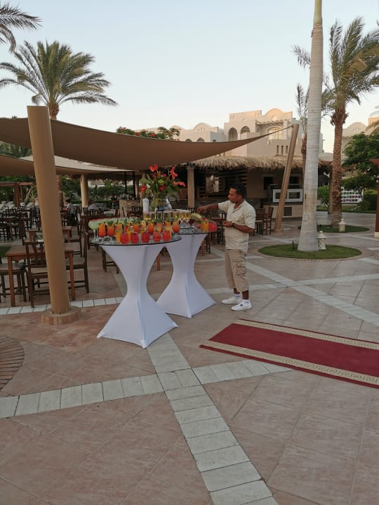 Gastro Hotel JAZ Makadi Star & Spa