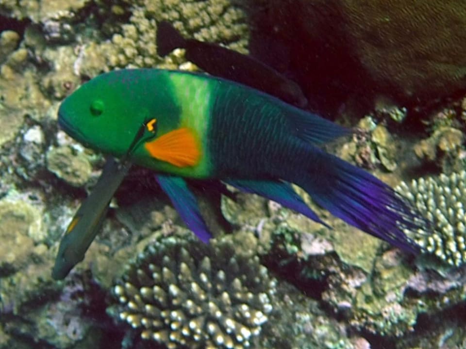 Sport & Freizeit Rohanou Beach Resort