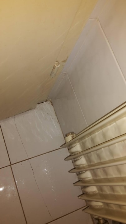 Haare vom Vorgänger Das Kaltern