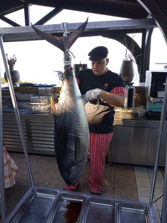 Gastro Hotel Kalithea Horizon Royal