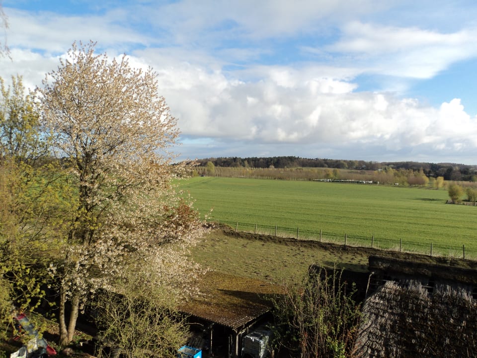 Ausblick Akzent Hotel Cordes & Restaurant am Rosengarten