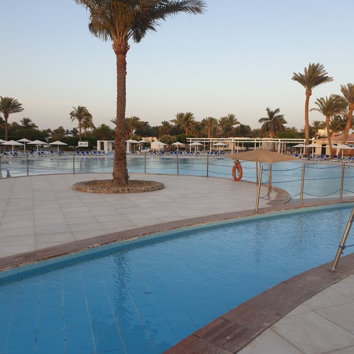 Pool Pharaoh Azur Resort