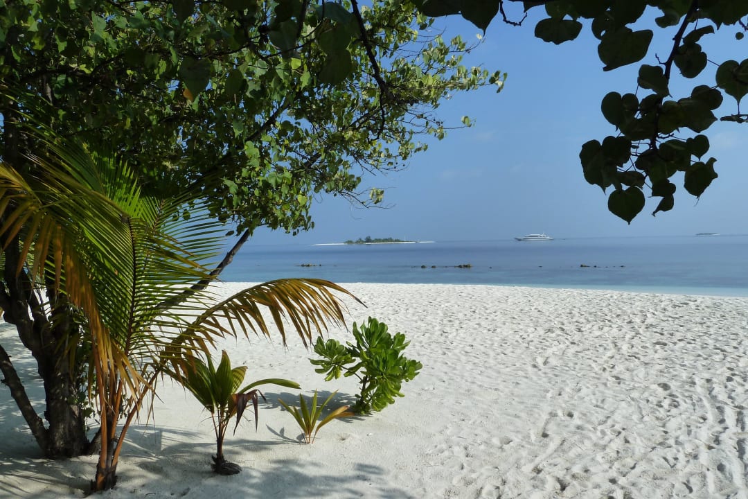 Ausblick vor Beachbungi 24 Diamonds Thudufushi