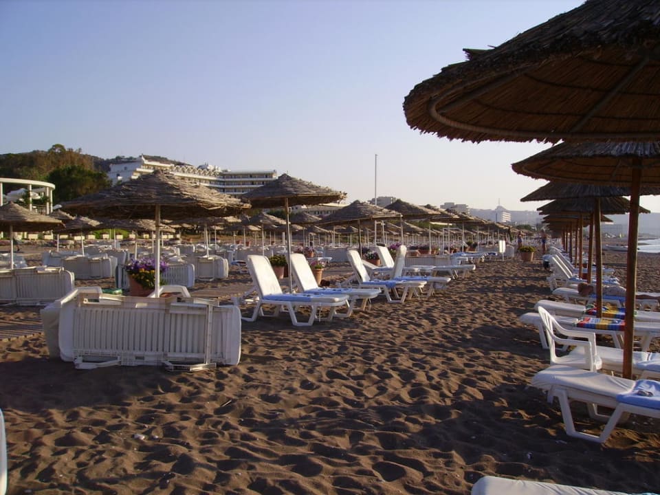 Strand am Morgen Hotel Calypso Beach