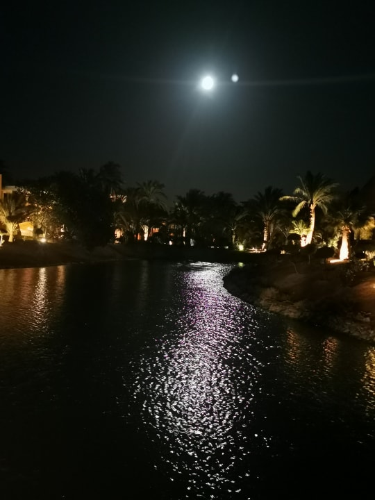 Gartenanlage Sheraton Miramar Resort El Gouna