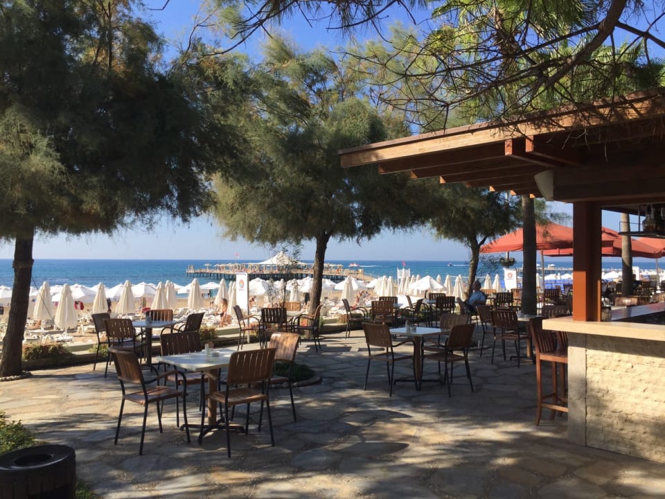 Gastro Arum Barut Collection