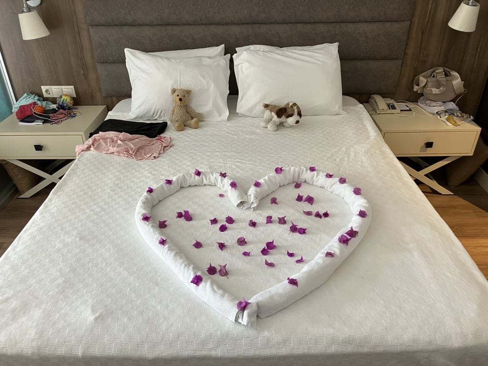Zimmer Monachus Family Resort Sorgun