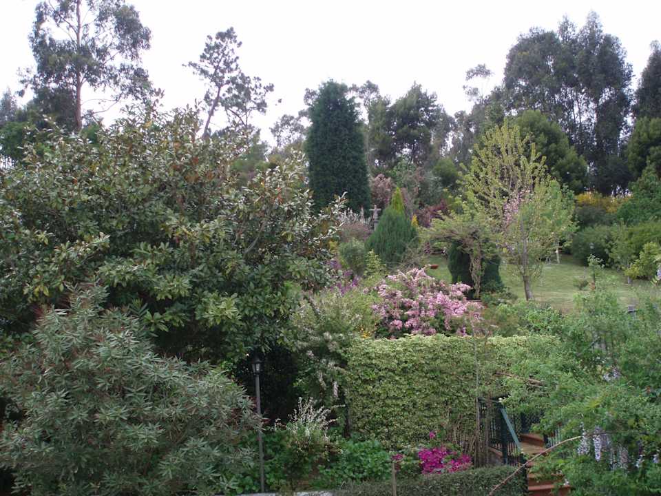 HABITACIÓN CON VISTAS AL MAR Hotel Tamanaco