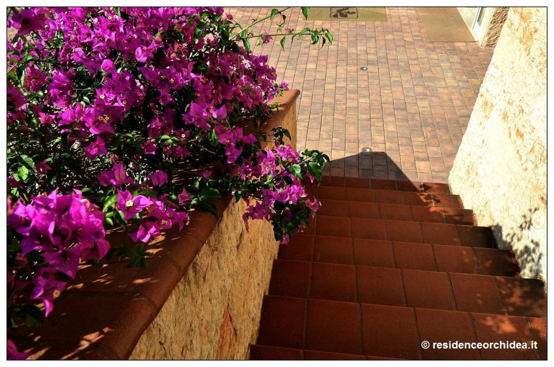Italian riviera blumen riviera residence orchidea Residence Orchidea
