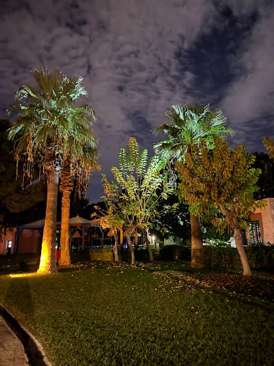 Gartenanlage Blue Waters Club