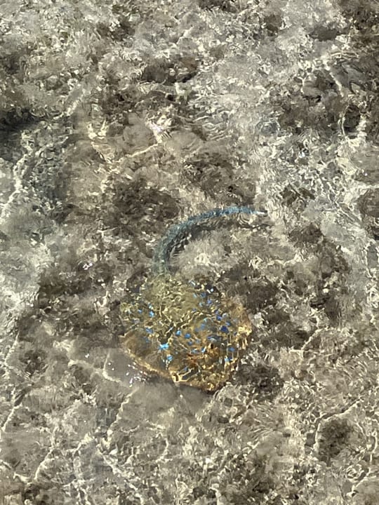 Strand Stella Garden Resort & Spa, Makadi Bay