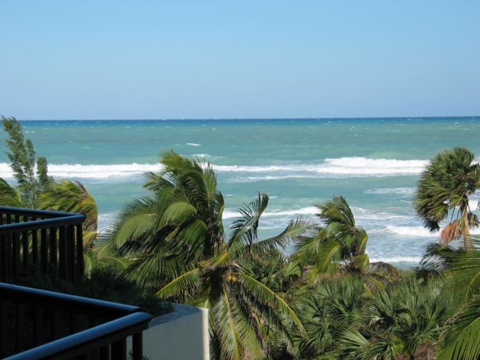 Blick vom Balkon Hotel Los Cactus