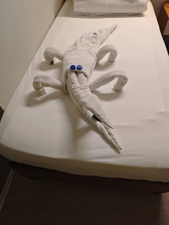 Zimmer Hane Family Resort