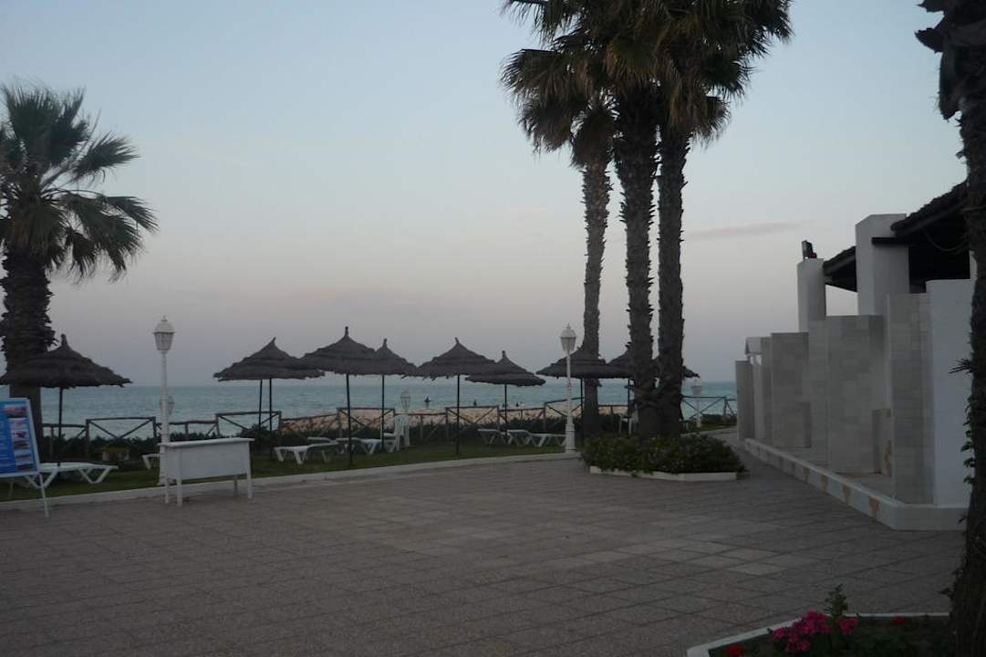 Blick vom Pool aufs Meer Orient Palace Resort & Spa