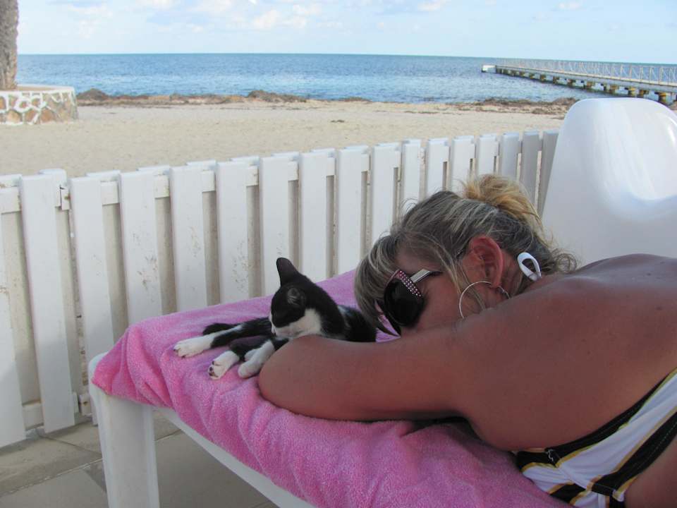 Jeder benötigt eine Verschnaufpause Hotel El Mouradi Djerba Menzel