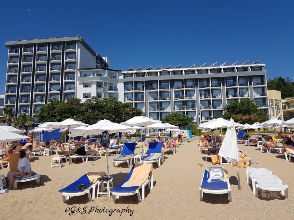 Strand Sentido Marea