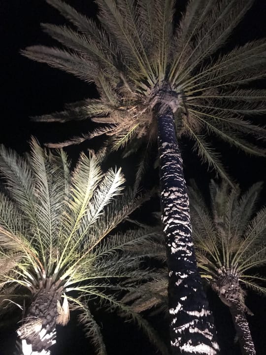 Sonstiges Rodos Princess Beach Hotel & Spa