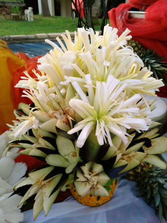 2016' Monachus Family Resort Sorgun