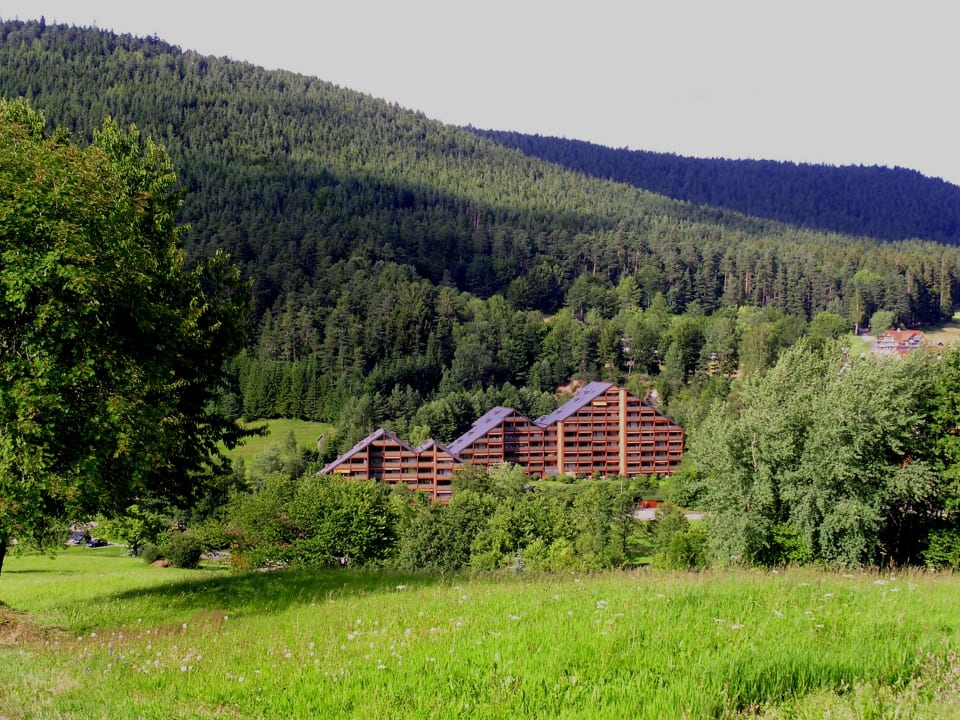 Haus Schwarzwaldgrund Hotel Schwarzwaldgrund