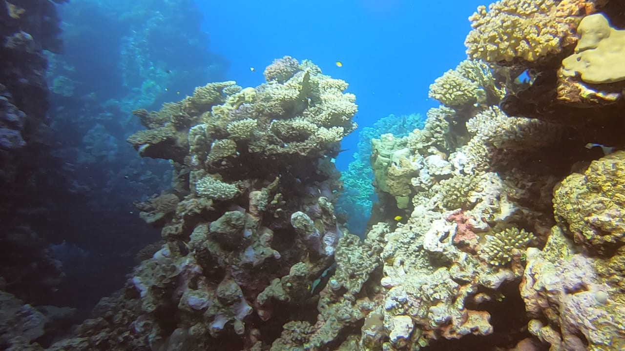 Sport & Freizeit Utopia Beach Club