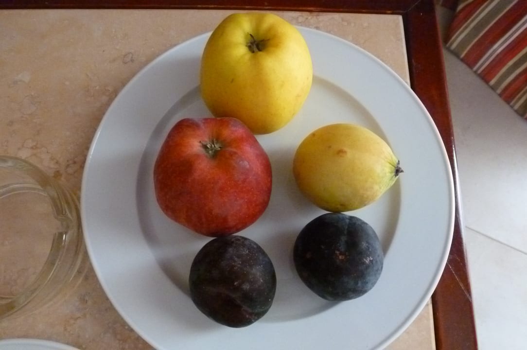 Zimmer Brayka Bay Resort