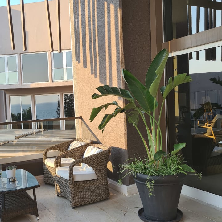 Sonstiges PALOMA Perissia