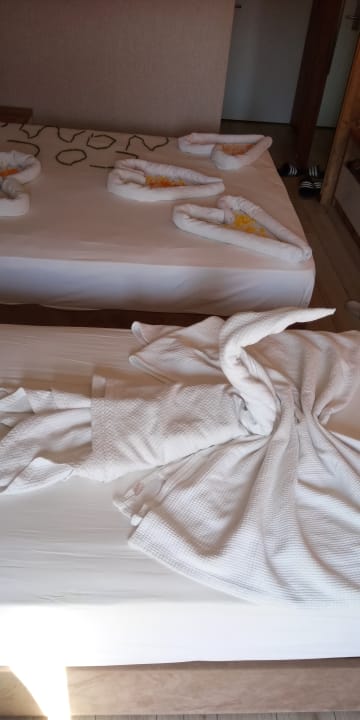 Zimmer Grand Seker Hotel