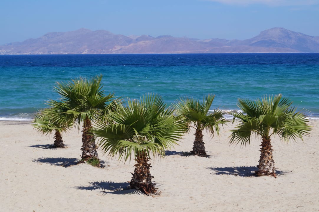 Palmen am Strand  Atlantica Marmari Palace