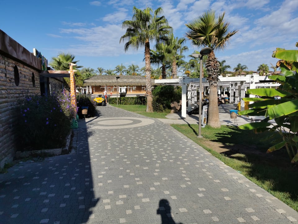 Pool Calimera Serra Palace