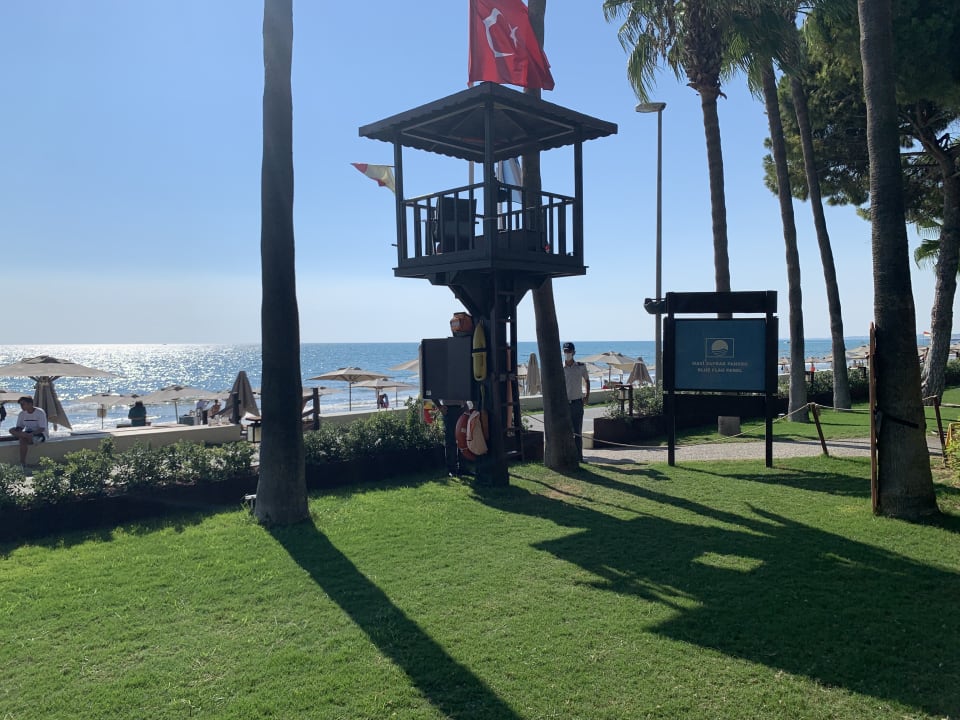 Strand Acanthus Cennet Barut Collection